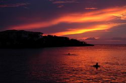 Roatan, Honduras. by Shawn Jackson 